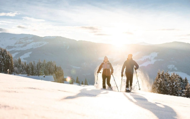 Chalet 149 Westendorf by ALPS RESORTS