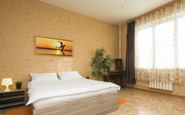 Апартаменты на Белинского 11/66, кв. 81