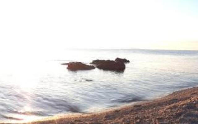 Nestor Sea Studio