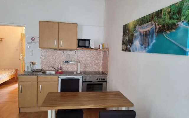 leopoldauer apartment