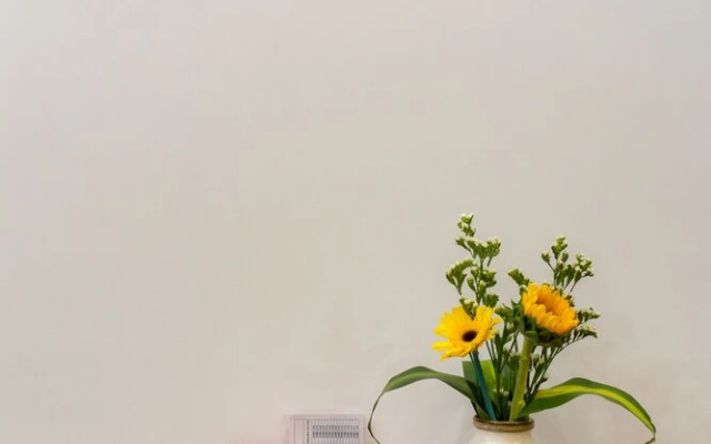 Da Nang Sunrise Sea Hotel & Apartment