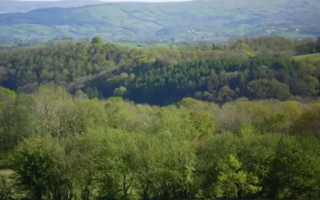 Tyllwyd Hir Luxury Bed And Breakfast