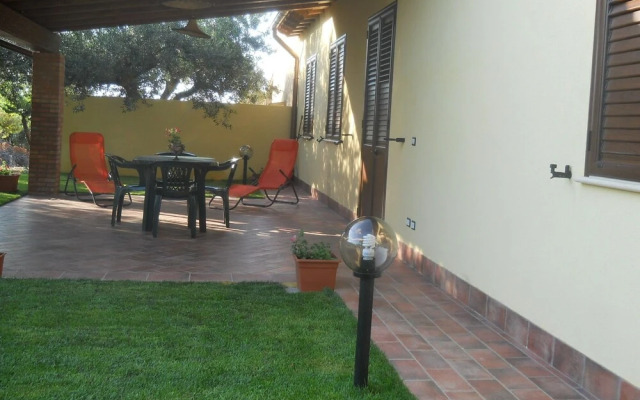 House surrounded by olive trees