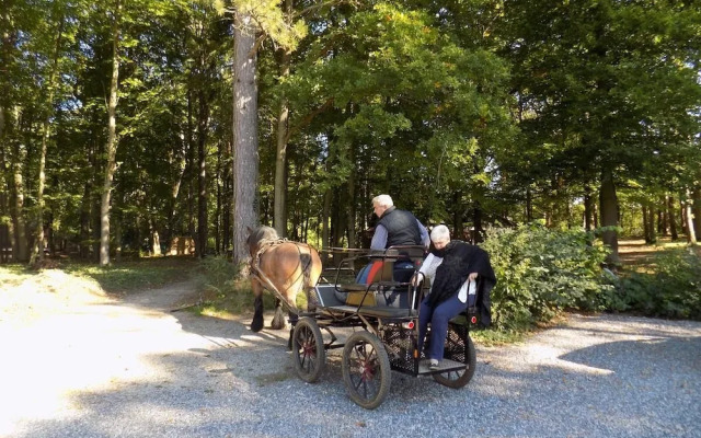 B&B Les Buissonnets de Longchamps