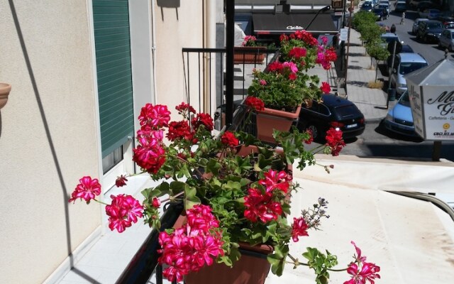 B&B Palmintelli