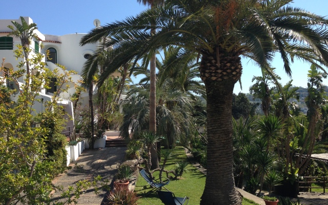 Paco Residence
