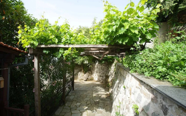 Stay Horizon P1 Milies