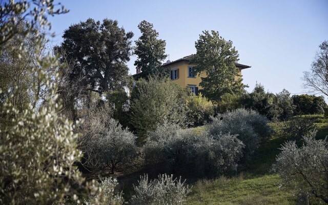 Villa Pacini - Just 1,8 km Outside Lucca Wall - Pool