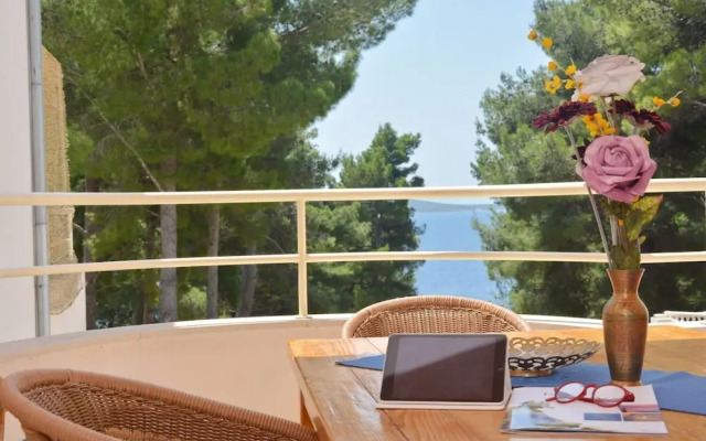 Dino - Gorgeous Garden - A3 Island