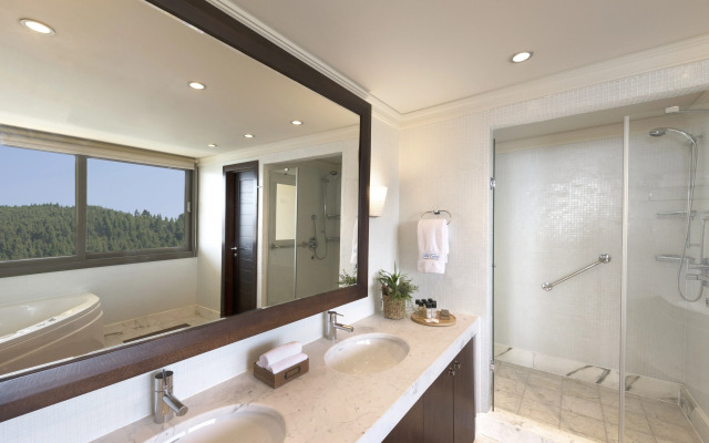 Porto Carras Meliton Hotel