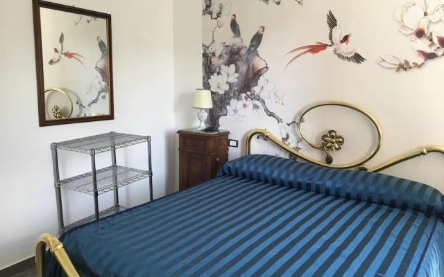 Antico Limoneto Conca D'Oro