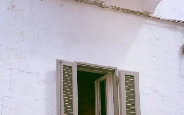 Vico Fortis 30