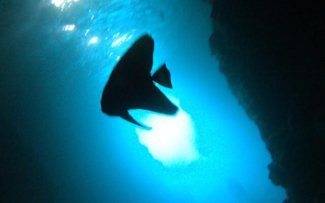 OceanResort Maedamisaki