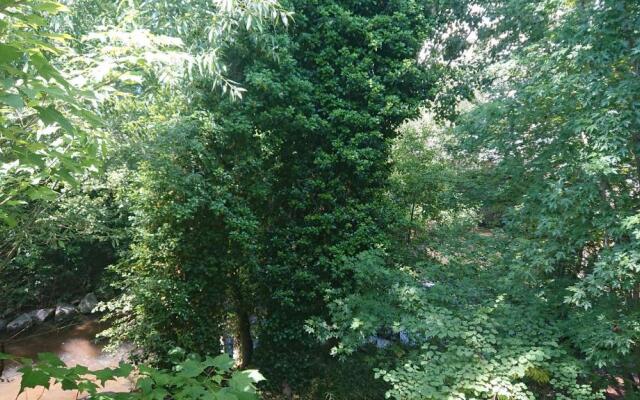 APPARTEMENT AU CENTRE VILLE de ROANNE 50 m²