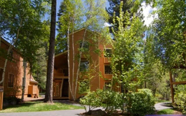 Premium McCloud Condo