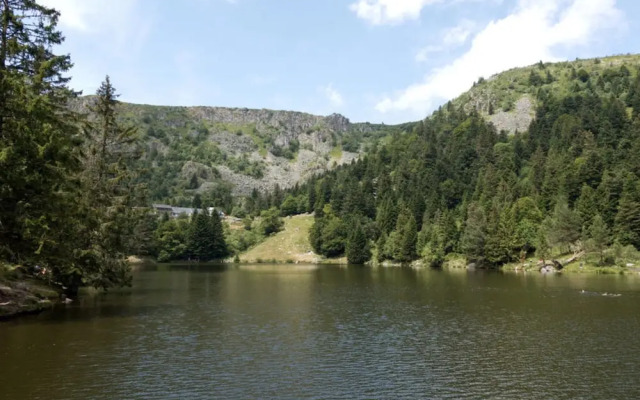 Classy Apartment in Soultzeren