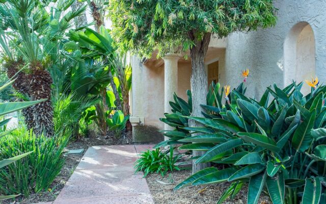 WanderJaunt - Gabriel Pacific Beach