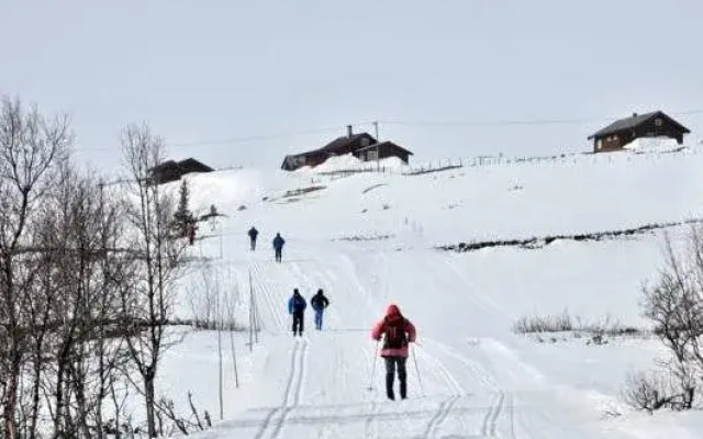 Havsdalsgrenda Apartments