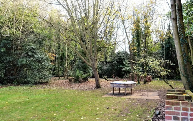 Yew Tree Apartment One Ryde