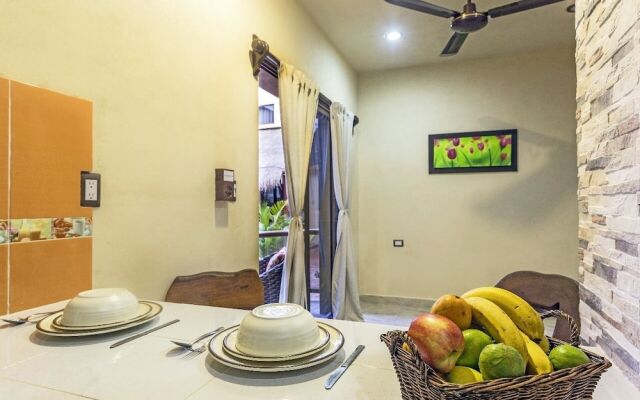 Macondo Raíz Holbox
