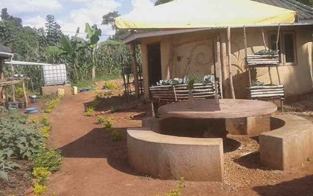 Eco-Agric Uganda Cottages