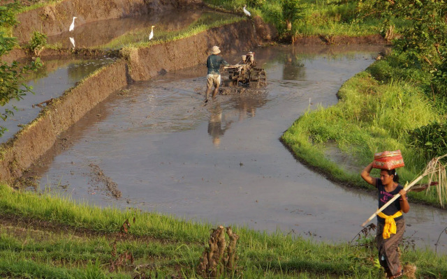 Samanvaya - Adults Only