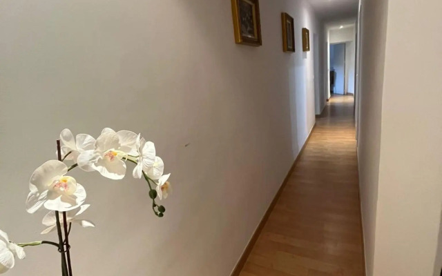 habitación matrimonial en piso compartido en el centro de Madrid