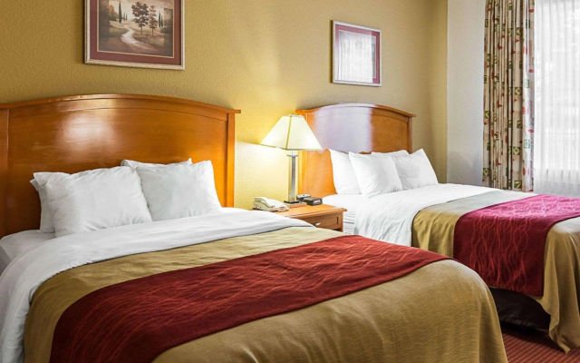 Comfort Inn & Suites Chesapeake - Portsmouth