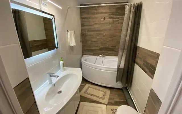 Hotel Robot