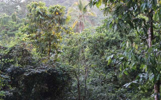 Villas De Oros