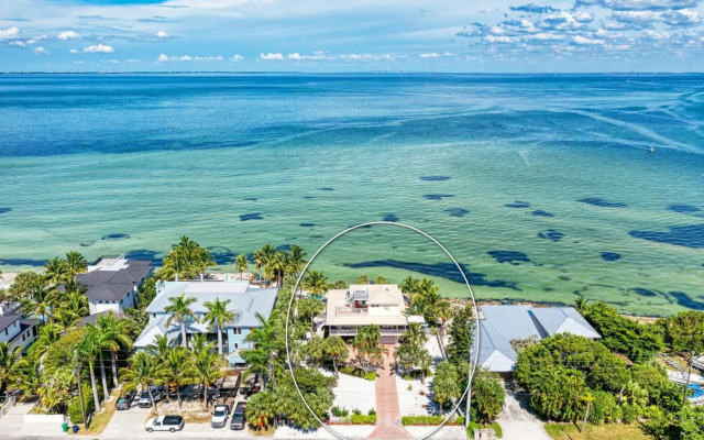 Dolphin Tales - 836 S Bay