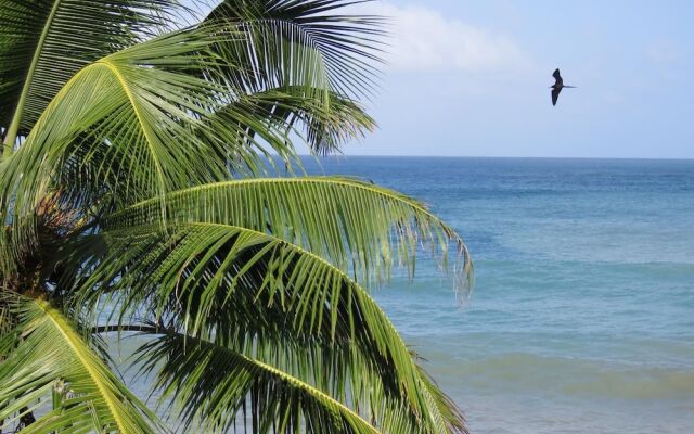 Hotel Las Mananitas Capurgana