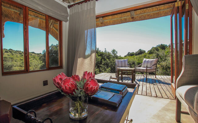 Bukela Game Lodge Amakhala Game Reserve