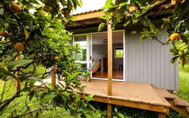 Relax a Lodge
