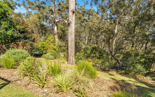 Treetops in Vincentia 4pm Check Out Sundays