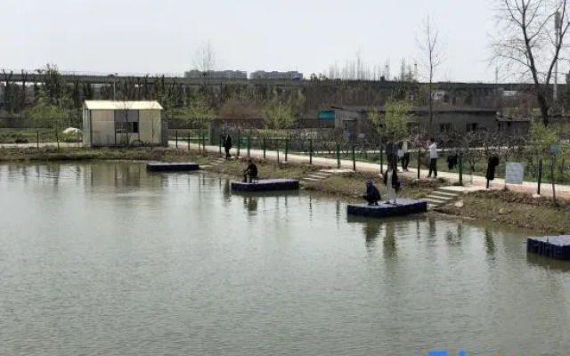 Wuhan Jointown White Swan Eco Hotel