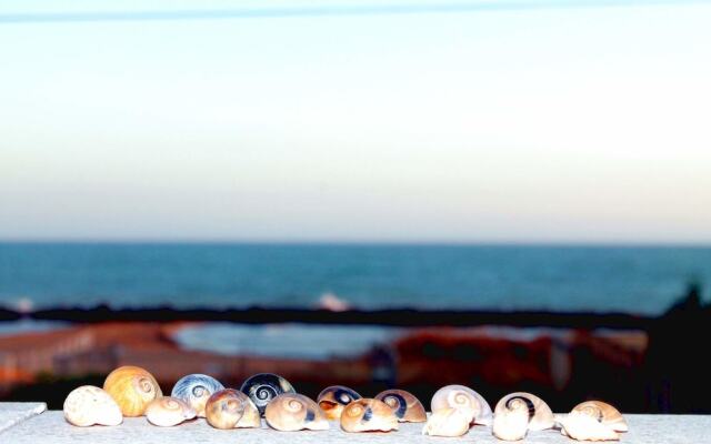 Bed and Breakfast Nettuno