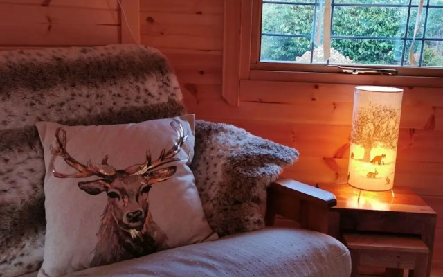 Charming 1-bed Cabin in Gaerwen
