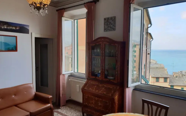 House Camogli