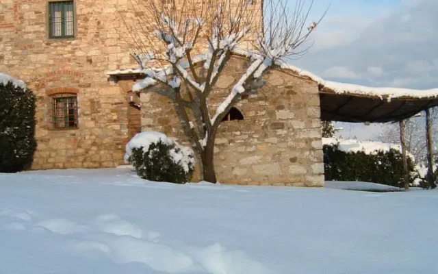 Masseto In Chianti
