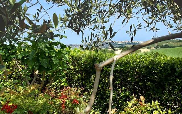 Ai Quattro Ulivi B&B