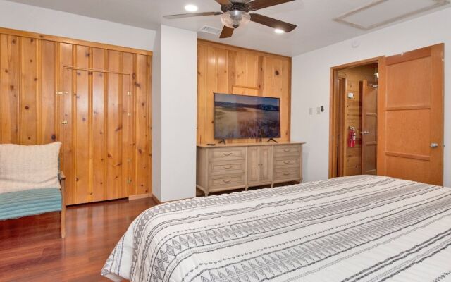 Silvertip Pines #2335