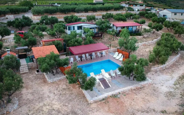 Camp Kopito