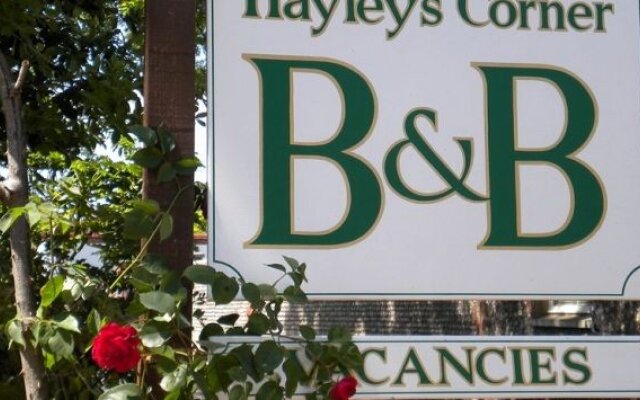 Hayleys Corner