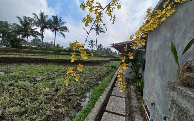 Rumah Kemuning Bali