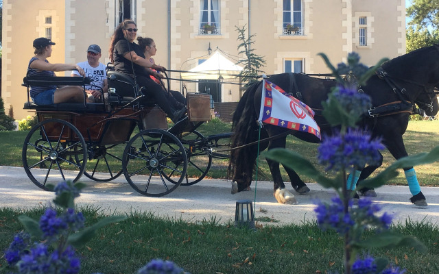 Le Petit Chateau Des Cedres