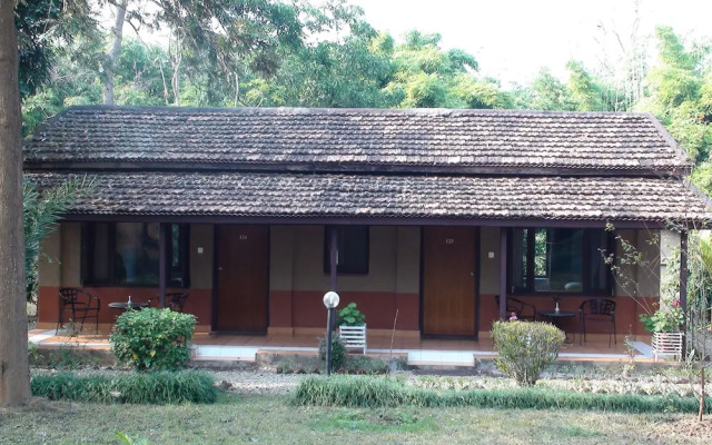 Safari Narayani Hotel- All Inclusive