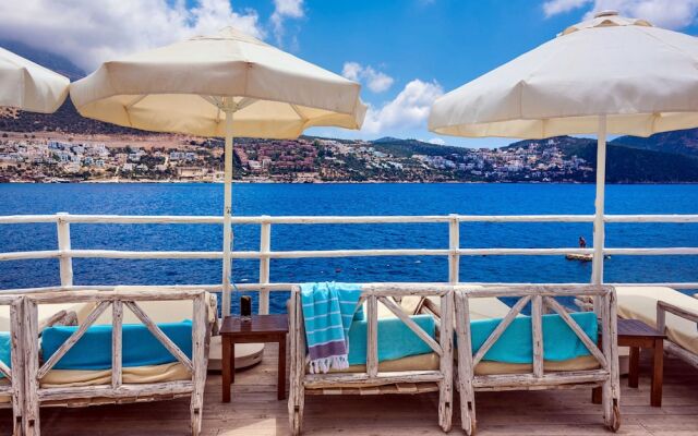 Asfiya Villas