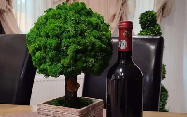 Pensiunea Antonio Bran