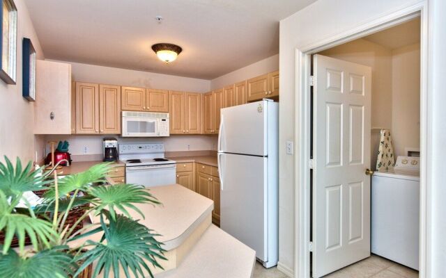 Viareggio Vacation Rental